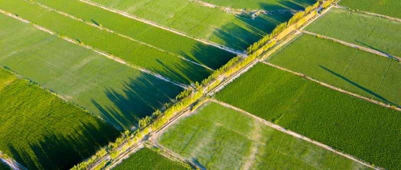 什么是復混肥料